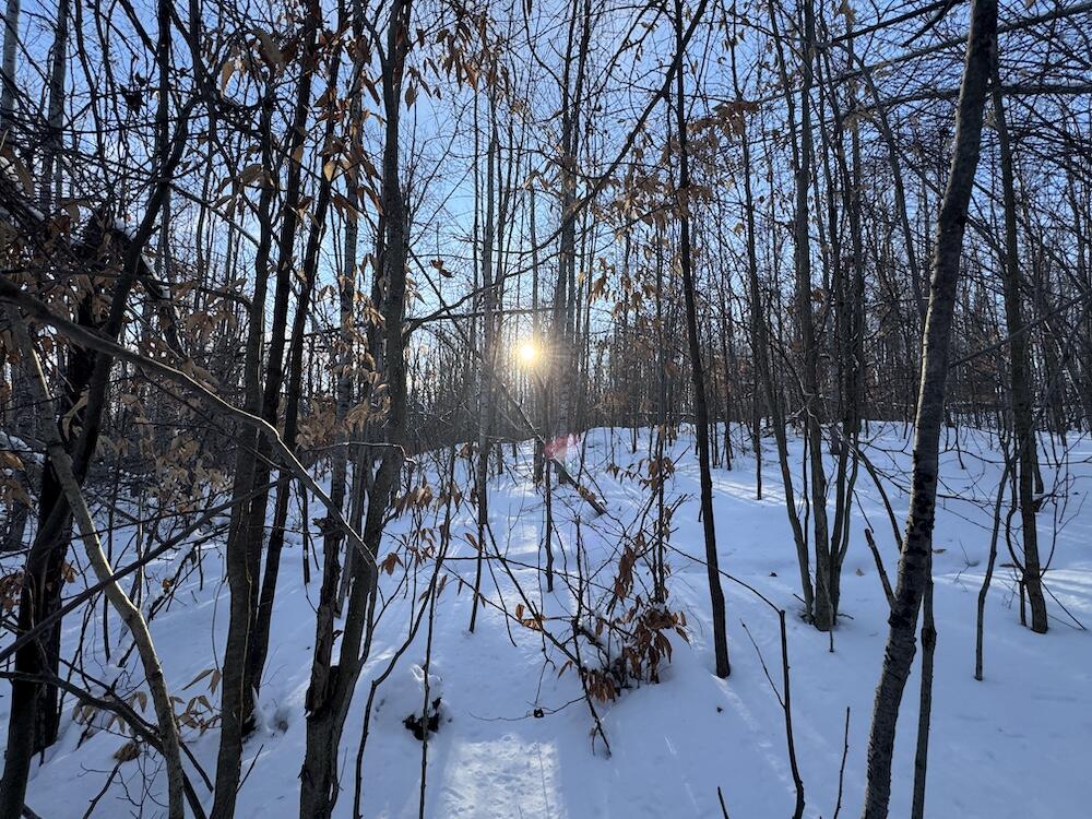 80-acres North Galbraith Road Mio, MI 48647 - Photo 1 of 78 Oscoda Co MI 80+/-