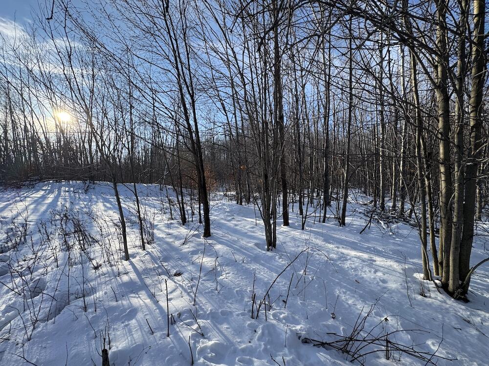 80-acres North Galbraith Road Mio, MI 48647 - Photo 12 of 78 8