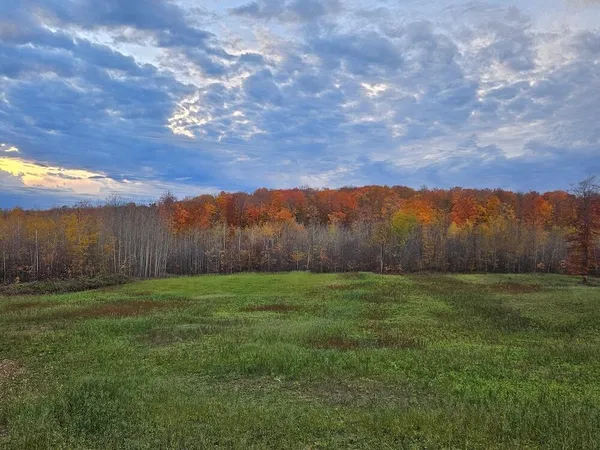 $269,000 | 80-acres North Galbraith Road, Mio, MI 48647