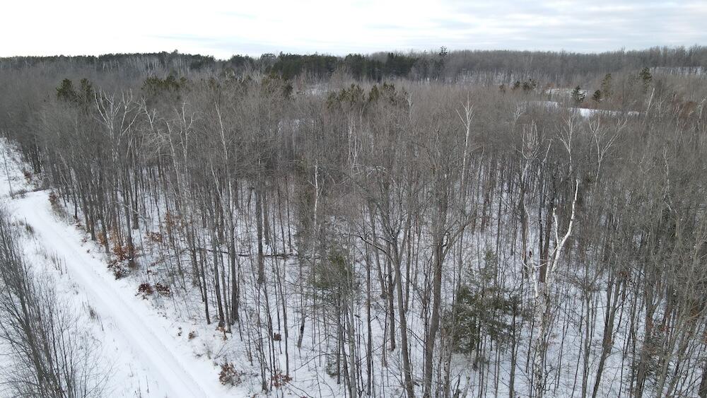 80-acres North Galbraith Road Mio, MI 48647 - Photo 18 of 78 DJI_0469