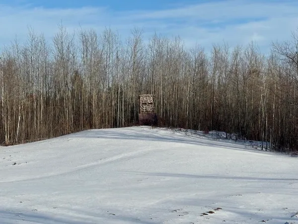 $269,000 | 80-acres North Galbraith Road, Mio, MI 48647