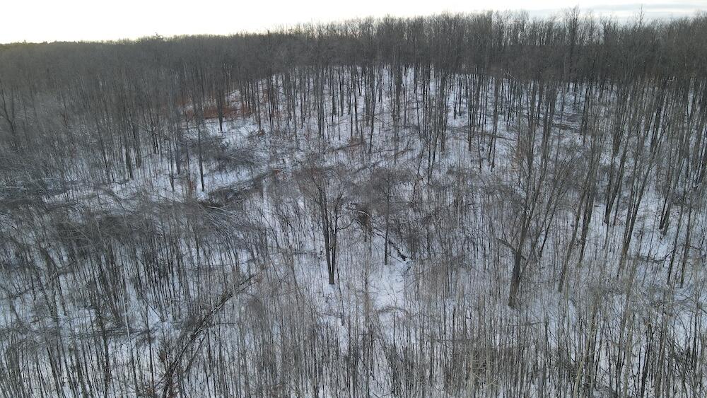 80-acres North Galbraith Road Mio, MI 48647 - Photo 21 of 78 DJI_0485