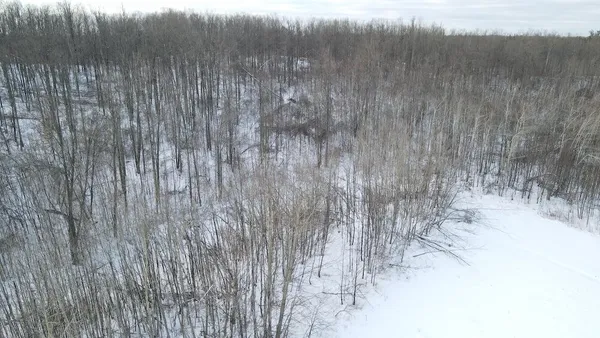 $269,000 | 80-acres North Galbraith Road, Mio, MI 48647