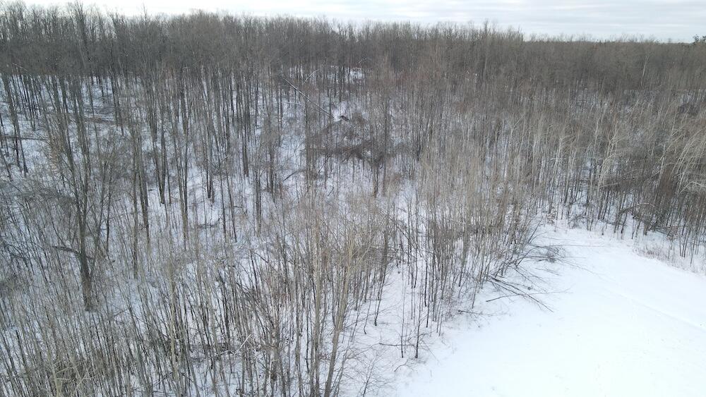 80-acres North Galbraith Road Mio, MI 48647 - Photo 22 of 78 DJI_0486