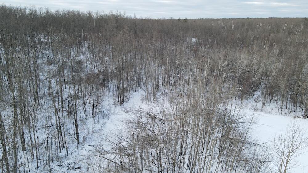 80-acres North Galbraith Road Mio, MI 48647 - Photo 23 of 78 DJI_0489