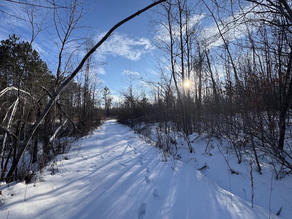 80-acres North Galbraith Road Mio, MI 48647 - Photo 27 of 78 IMG_9302 2