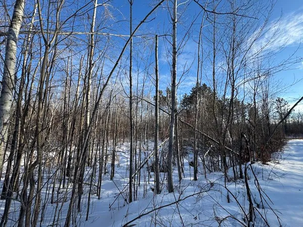 $269,000 | 80-acres North Galbraith Road, Mio, MI 48647