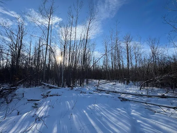 $269,000 | 80-acres North Galbraith Road, Mio, MI 48647