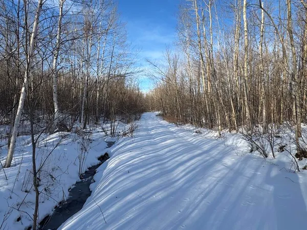 $269,000 | 80-acres North Galbraith Road, Mio, MI 48647