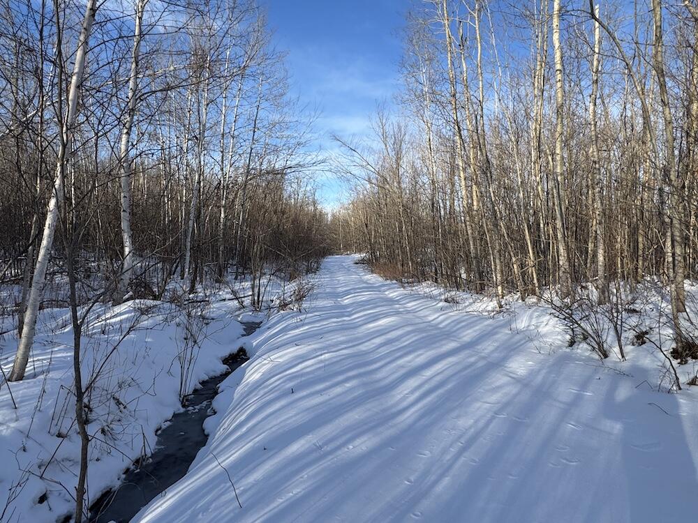80-acres North Galbraith Road Mio, MI 48647 - Photo 31 of 78 IMG_9306 2