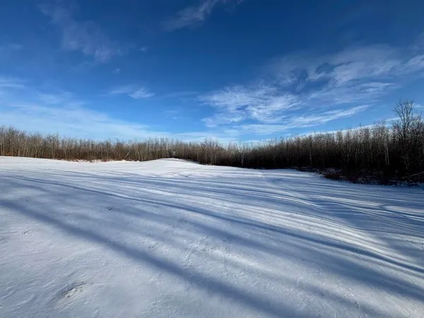 $269,000 | 80-acres North Galbraith Road, Mio, MI 48647