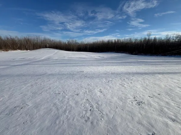 $269,000 | 80-acres North Galbraith Road, Mio, MI 48647