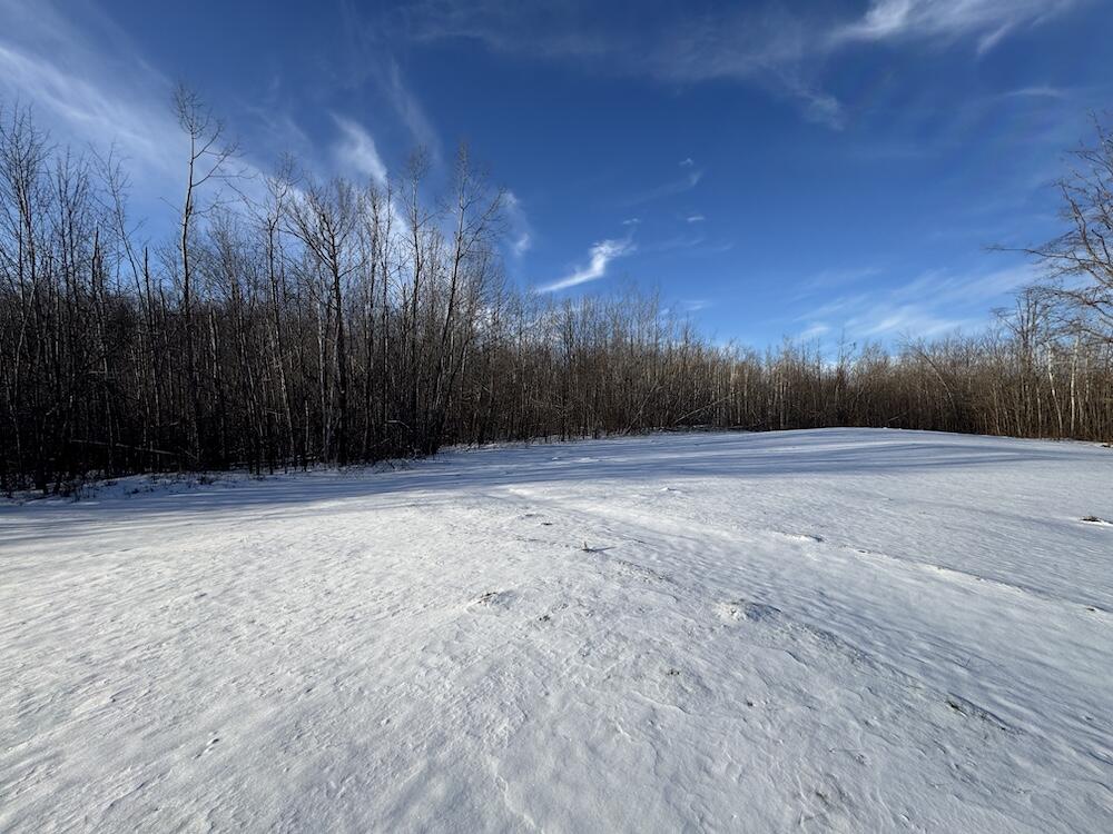80-acres North Galbraith Road Mio, MI 48647 - Photo 34 of 78 IMG_9311 2