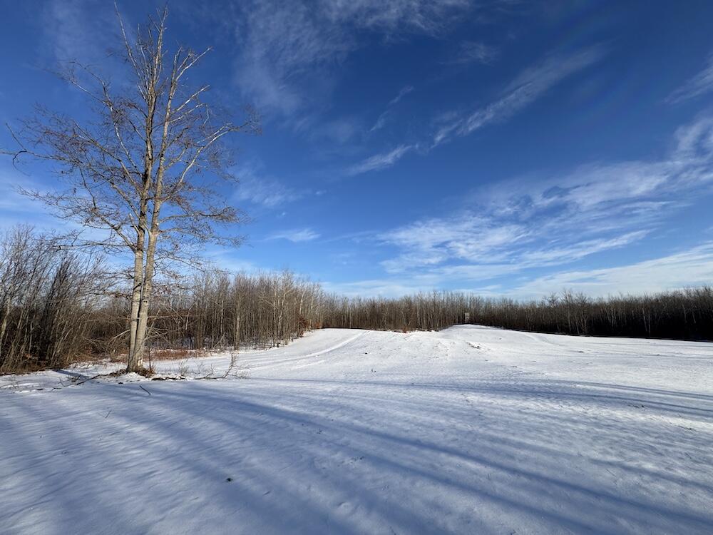 80-acres North Galbraith Road Mio, MI 48647 - Photo 35 of 78 IMG_9312 2
