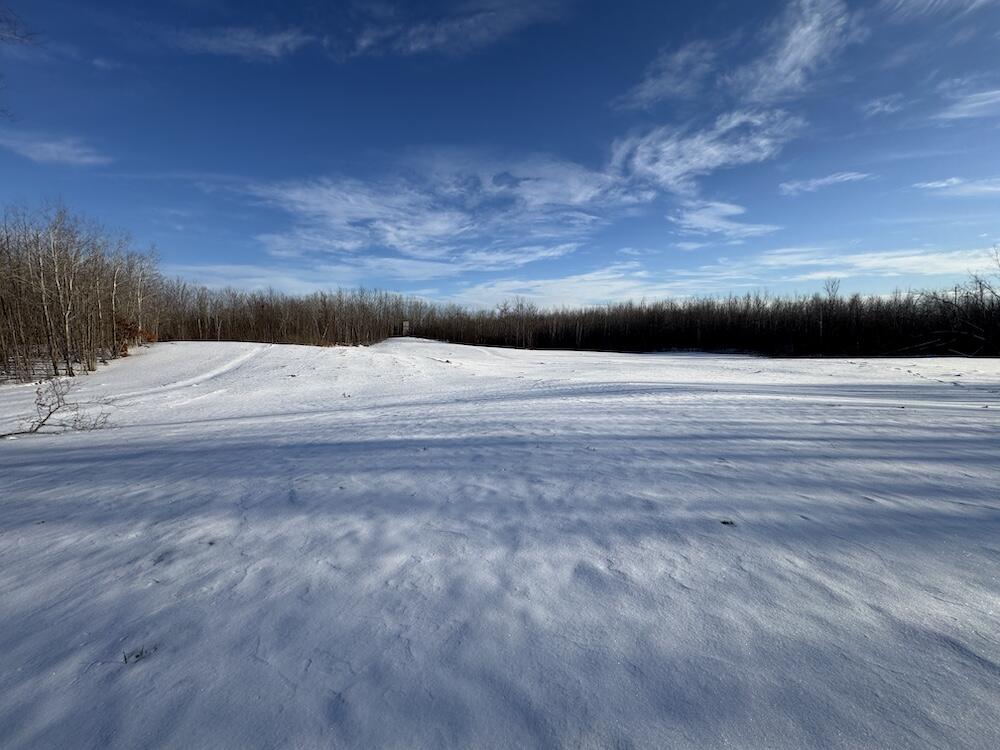 80-acres North Galbraith Road Mio, MI 48647 - Photo 36 of 78 IMG_9313 2