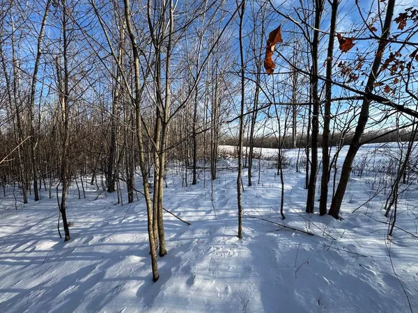 $269,000 | 80-acres North Galbraith Road, Mio, MI 48647