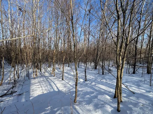 $269,000 | 80-acres North Galbraith Road, Mio, MI 48647