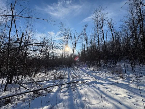 $269,000 | 80-acres North Galbraith Road, Mio, MI 48647