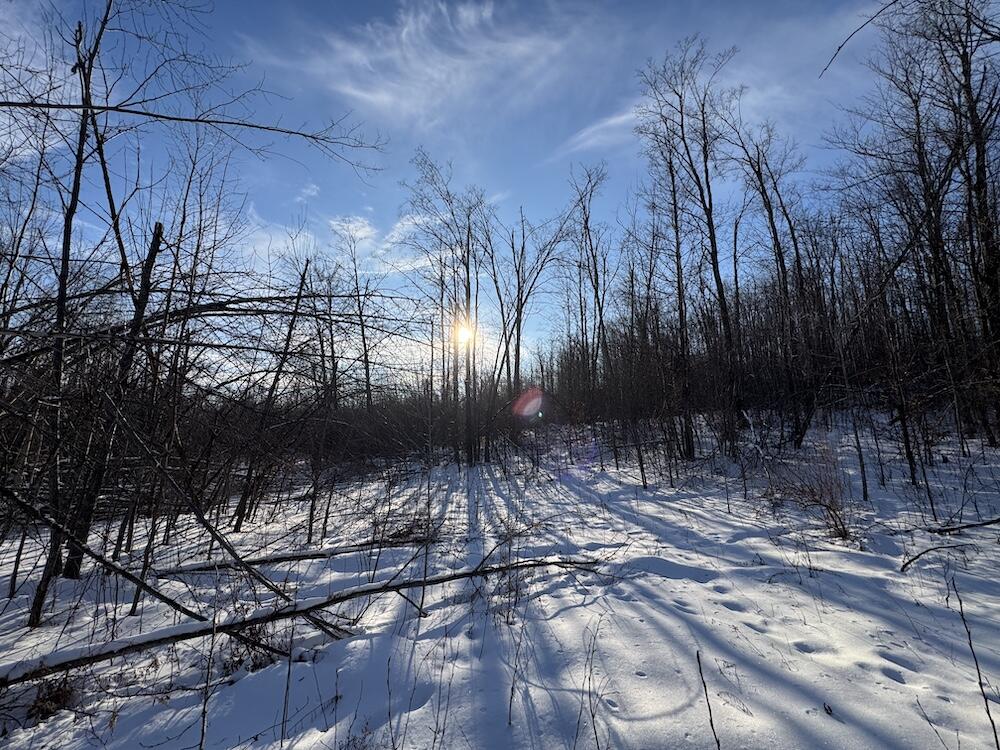 80-acres North Galbraith Road Mio, MI 48647 - Photo 39 of 78 IMG_9318 2