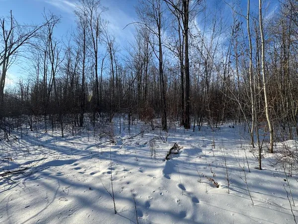 $269,000 | 80-acres North Galbraith Road, Mio, MI 48647