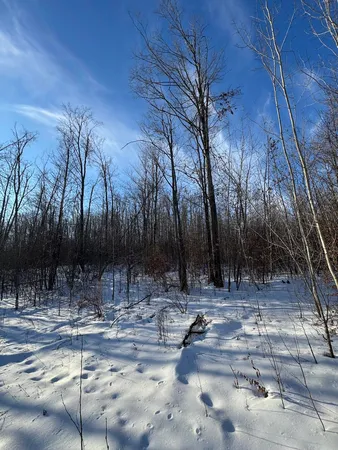 $269,000 | 80-acres North Galbraith Road, Mio, MI 48647