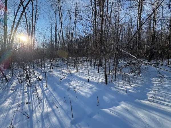 $269,000 | 80-acres North Galbraith Road, Mio, MI 48647