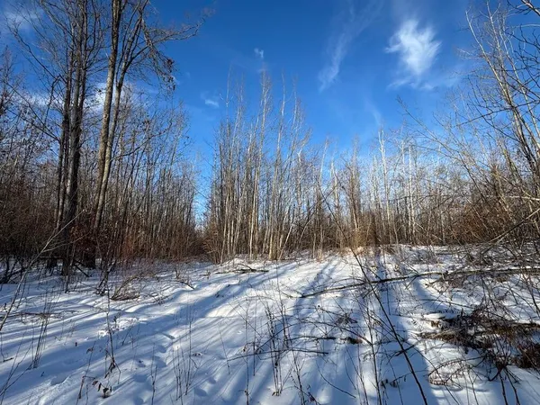 $269,000 | 80-acres North Galbraith Road, Mio, MI 48647