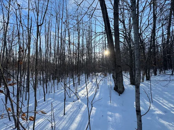 $269,000 | 80-acres North Galbraith Road, Mio, MI 48647