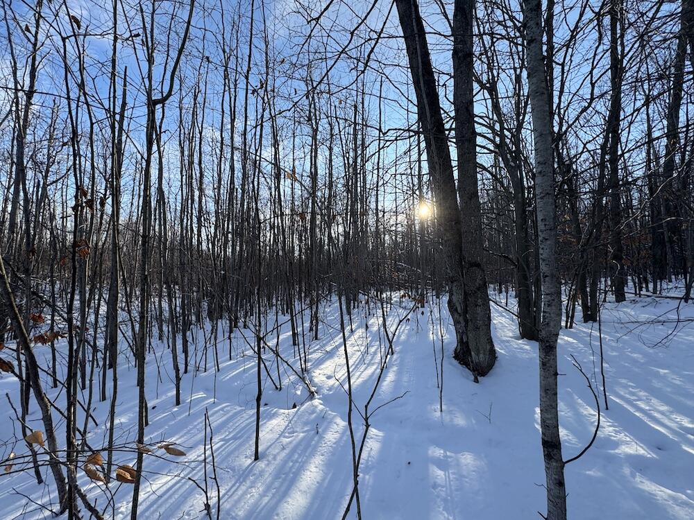 80-acres North Galbraith Road Mio, MI 48647 - Photo 45 of 78 IMG_9324 2