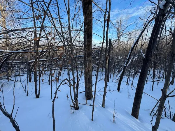 $269,000 | 80-acres North Galbraith Road, Mio, MI 48647