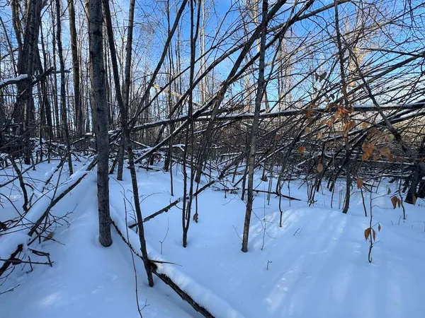 $269,000 | 80-acres North Galbraith Road, Mio, MI 48647