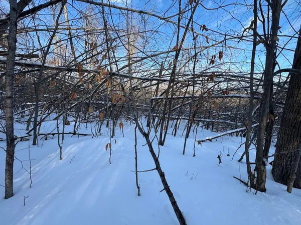 $269,000 | 80-acres North Galbraith Road, Mio, MI 48647