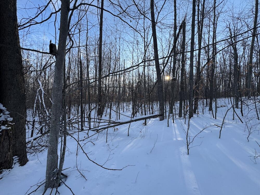 80-acres North Galbraith Road Mio, MI 48647 - Photo 49 of 78 IMG_9329 2