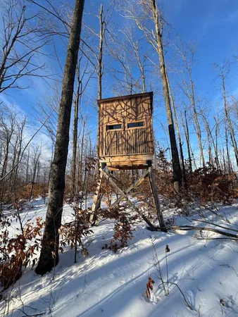 $269,000 | 80-acres North Galbraith Road, Mio, MI 48647