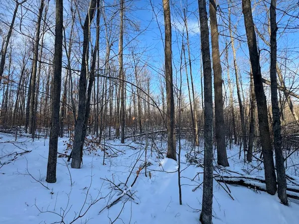 $269,000 | 80-acres North Galbraith Road, Mio, MI 48647
