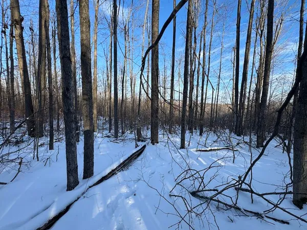 $269,000 | 80-acres North Galbraith Road, Mio, MI 48647