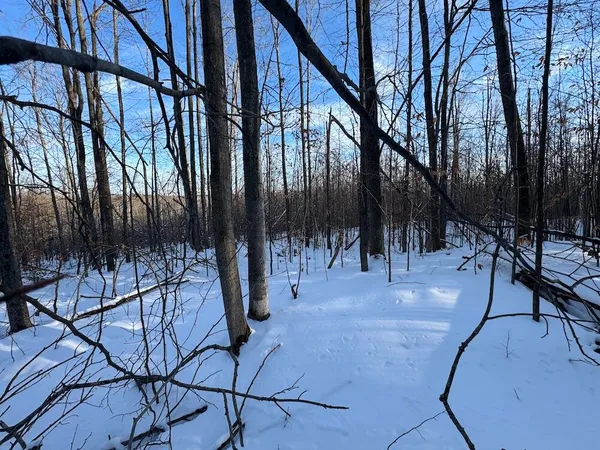 $269,000 | 80-acres North Galbraith Road, Mio, MI 48647