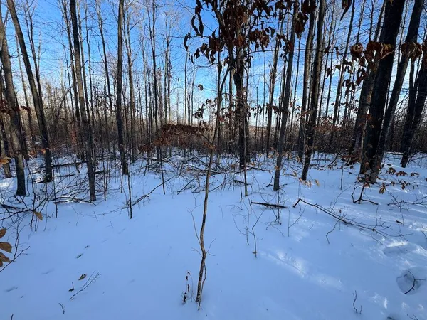 $269,000 | 80-acres North Galbraith Road, Mio, MI 48647