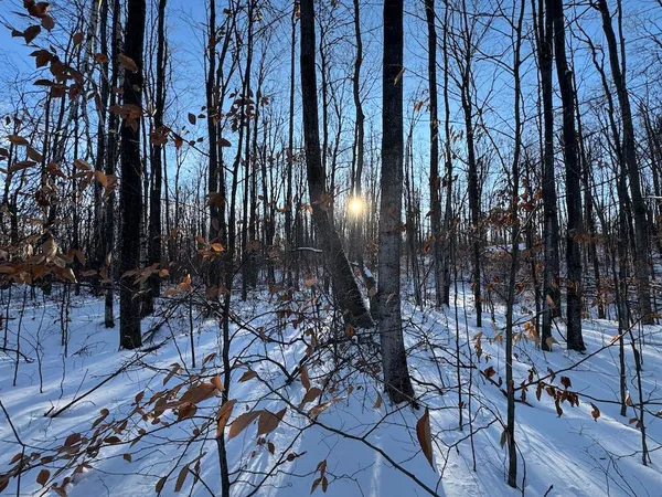 $269,000 | 80-acres North Galbraith Road, Mio, MI 48647