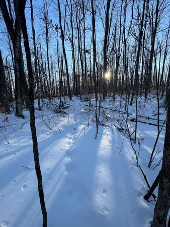 $269,000 | 80-acres North Galbraith Road, Mio, MI 48647