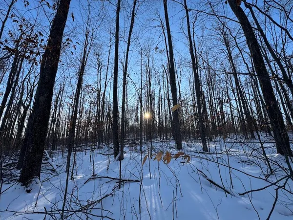 $269,000 | 80-acres North Galbraith Road, Mio, MI 48647