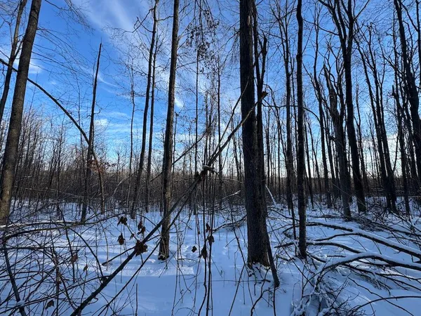 $269,000 | 80-acres North Galbraith Road, Mio, MI 48647