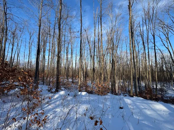 $269,000 | 80-acres North Galbraith Road, Mio, MI 48647