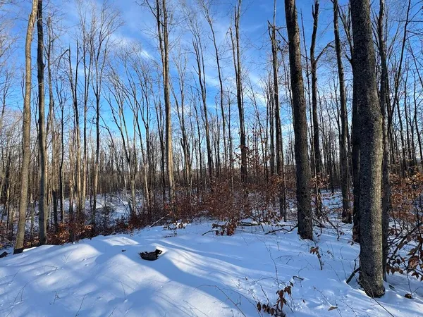 $269,000 | 80-acres North Galbraith Road, Mio, MI 48647
