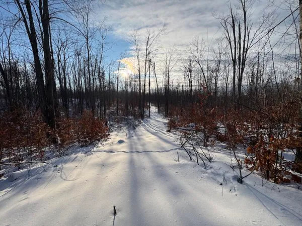 $269,000 | 80-acres North Galbraith Road, Mio, MI 48647