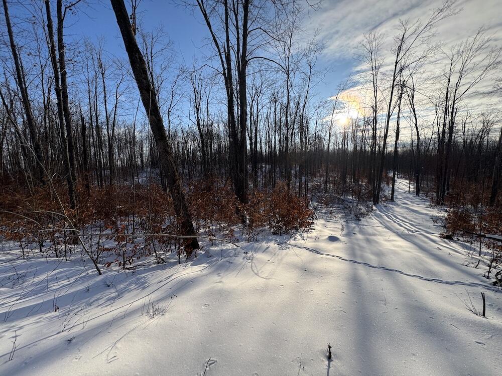 80-acres North Galbraith Road Mio, MI 48647 - Photo 65 of 78 IMG_9350 2