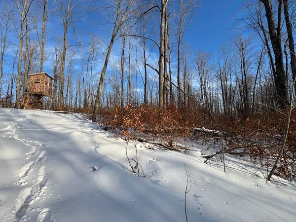 $269,000 | 80-acres North Galbraith Road, Mio, MI 48647