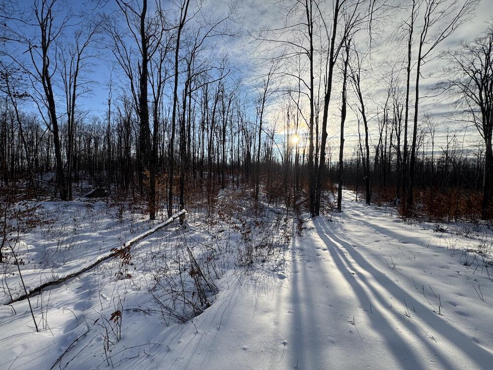 80-acres North Galbraith Road Mio, MI 48647 - Photo 68 of 78 IMG_9353 2