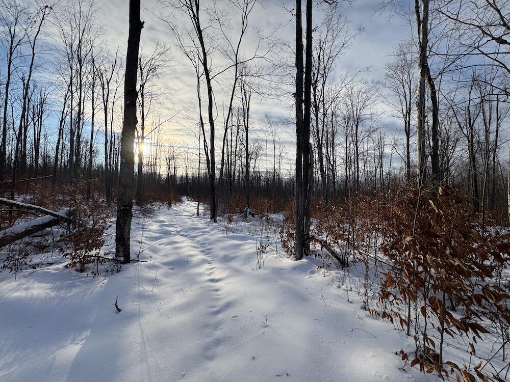 80-acres North Galbraith Road Mio, MI 48647 - Photo 69 of 78 IMG_9354 2