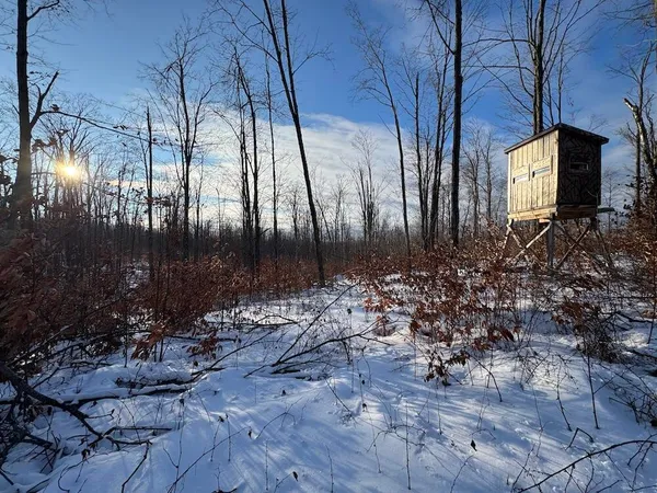 $269,000 | 80-acres North Galbraith Road, Mio, MI 48647